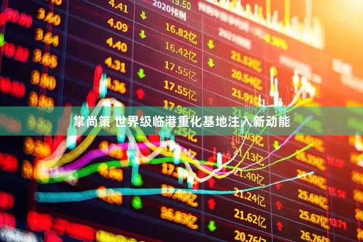 掌尚策 世界级临港重化基地注入新动能