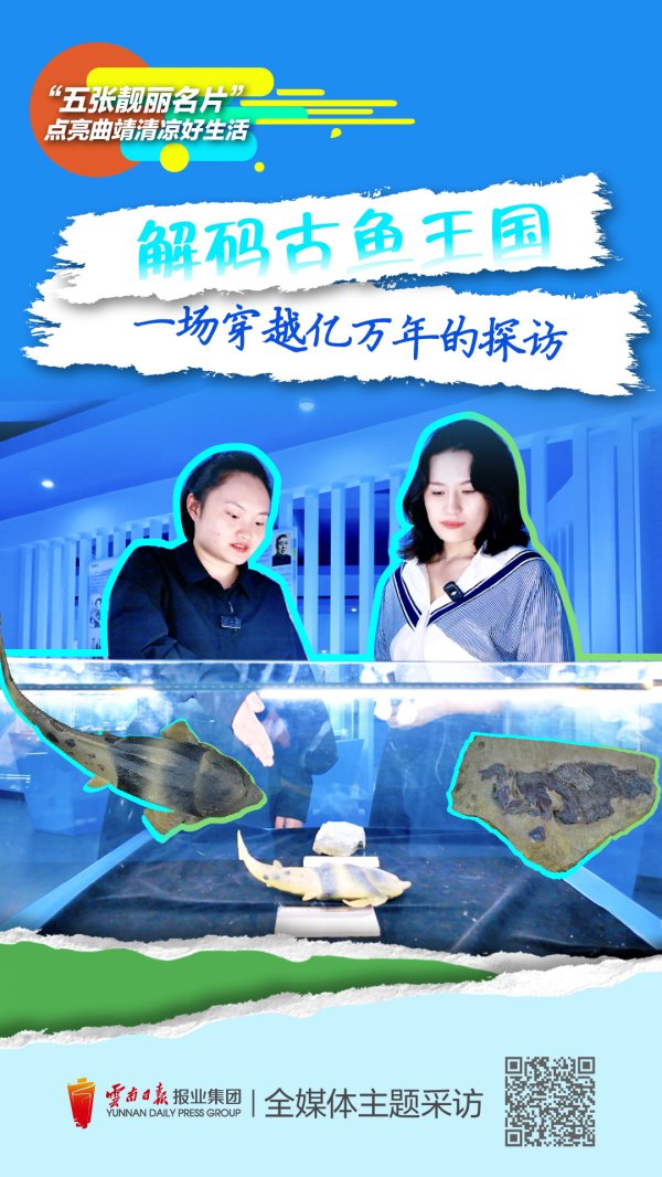 利赢汇 曲靖“古鱼王国”：穿越亿万年的生命礼赞